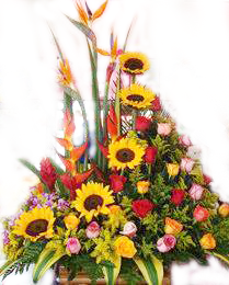 DISEÑO JARDIN No 12