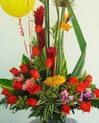 DISEÑO JARDIN No 13