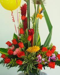 DISEÑO JARDIN No 13