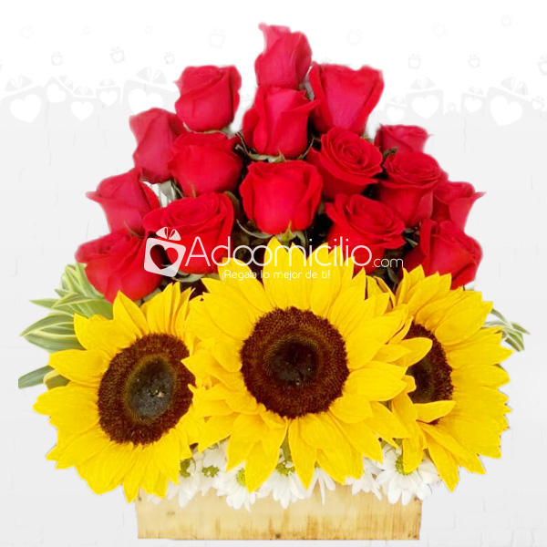 Felicidad Girasol con Rosas A Domicilio En Cali