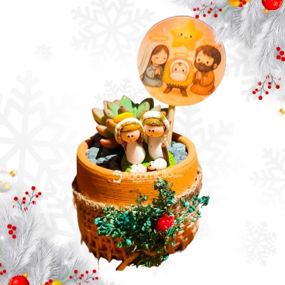 Pesebre En Suculenta A Domicilio En Bogotá Pedido Con Un Día De Anticipación 