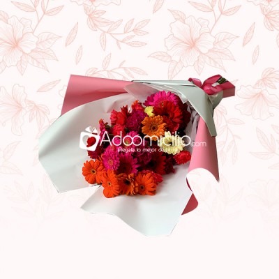 Bouquet De Gerberas Arreglos Florales A Domicilio En Armenia