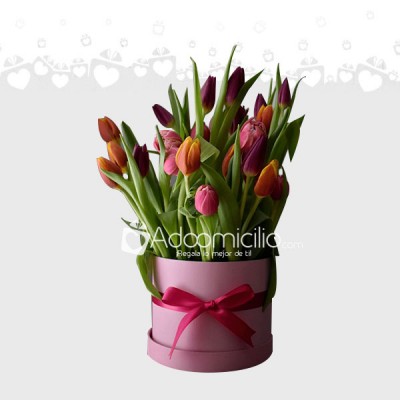 Arreglo Floral Tulip&tulip Pequeño Pedido con un día Anticipado En  México  